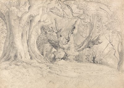 Alte Bäume, Lullingstone Park von Samuel Palmer