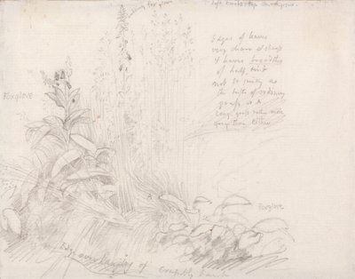 Fingerhüte von Samuel Palmer