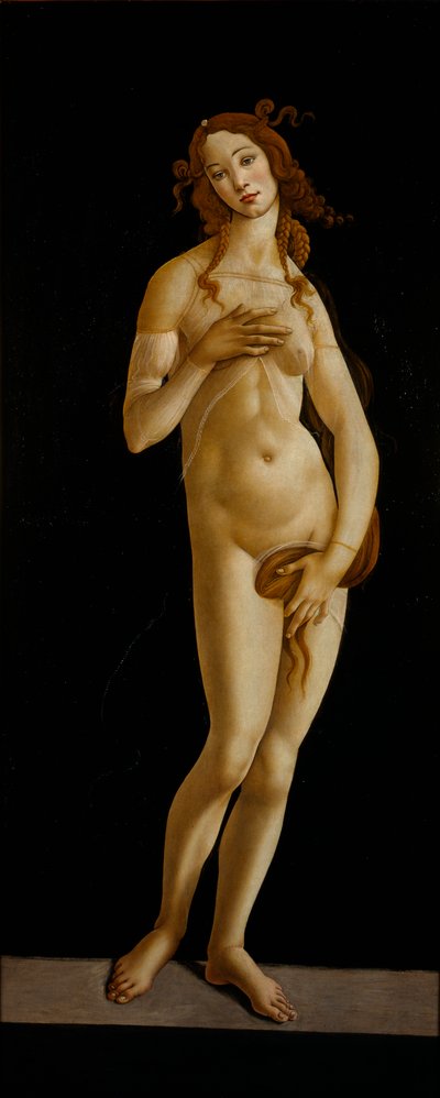 Venus Pudica, ca. 1485-1490 von Sandro Botticelli