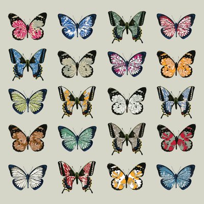 Papillon, 2008 von Sarah Hough