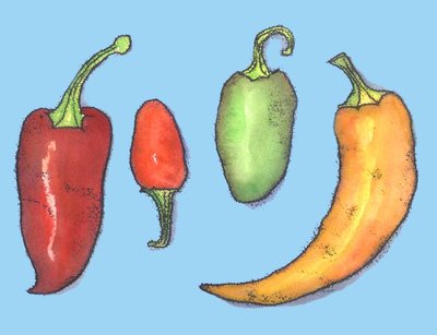 Chilischoten von Sarah Thompson Engels