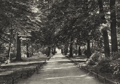 Berlin: Tiergarten von Sasha Stone