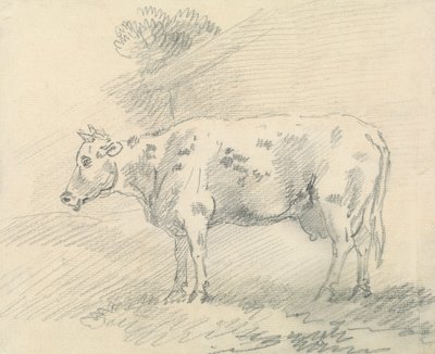 Kuh von Sawrey Gilpin