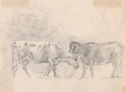 Zwei Kühe beim Grasen von Sawrey Gilpin