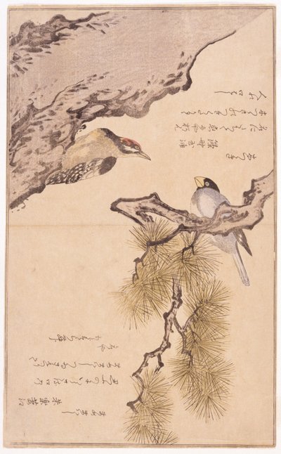 Zwei Vögel auf einem Baum von School Japanese
