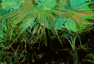 Artischocke_abst_horz2 von Scott J. Davis