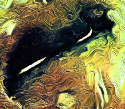 Augen, 2021 von Scott J. Davis