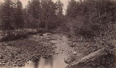 Marion River bei Bassetts Camp von Seneca Ray Stoddard