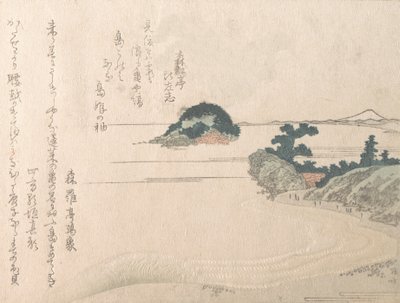 Turtle Island und Fujiyama von Shinsai