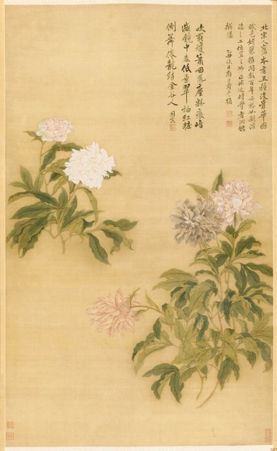 Pfingstrosen, Hängerolle von Shouping Yun