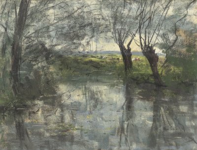 Bosvijver von Siebe Johannes ten Cate