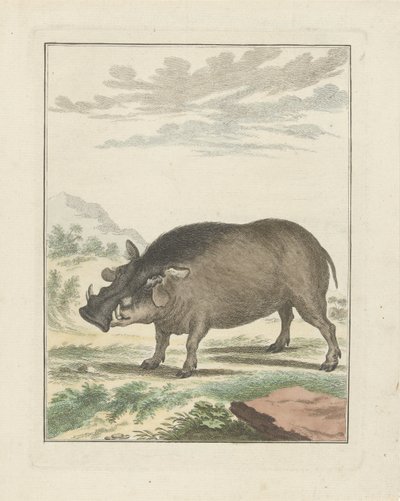 Afrikanisches Buschschwein von Simon Fokke