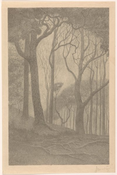 Bäume von Simon Moulijn (signed by artist)