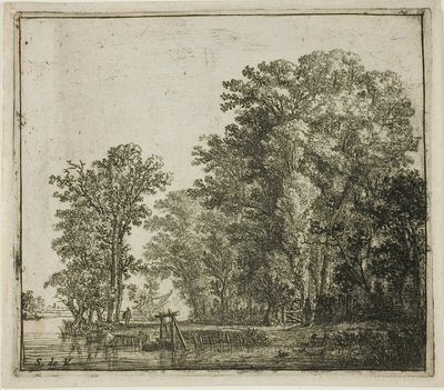 Wald in der Nähe eines Kanals von Simon de Vlieger
