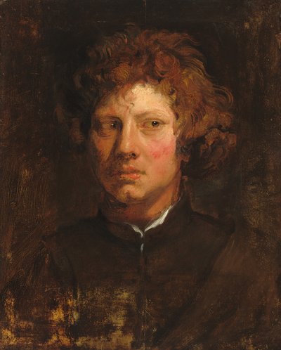 Kopf eines jungen Mannes von Sir Anthony van Dyck