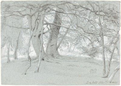 Bäume am Box Hill von Sir William Blake Richmond