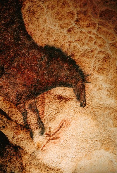 Galoppierendes Pferd in der Höhle von Lascaux, Frankreich von Sisse Brimberg