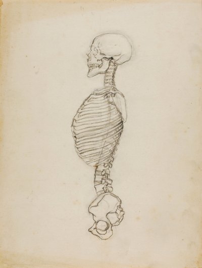 Anatomie von Solon H. Borglum