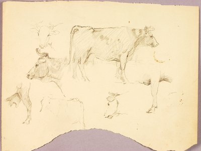 Stiere von Solon H. Borglum