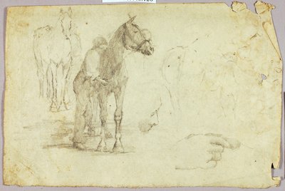 Pferd und Reiter von Solon H. Borglum
