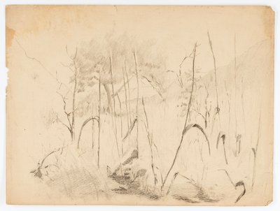 Landschaft von Solon H. Borglum