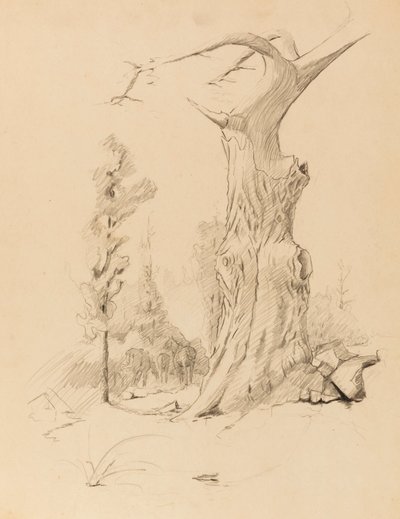 Ohne Titel von Solon H. Borglum