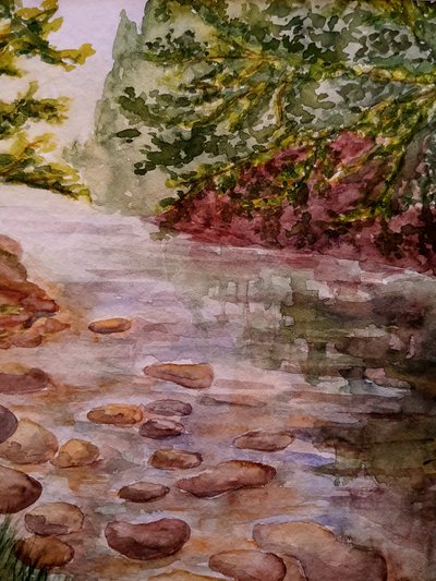 Im Wald - Bach von Steegs Art Karin
