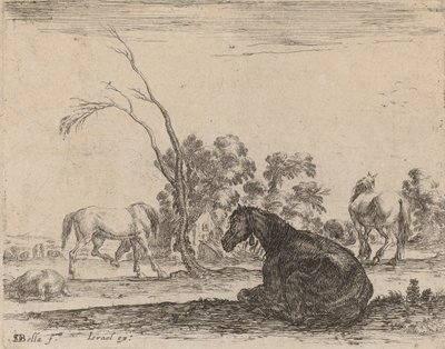 Pferde auf einer Weide, 1642 von Stefano della Bella