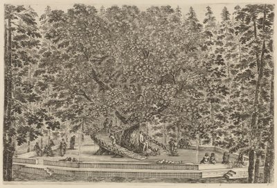 Der bewohnte Baum, wahrscheinlich 1653 von Stefano della Bella