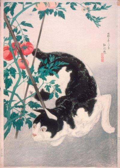 Katze mit Tomatenpflanze von Takahashi Hiroaki