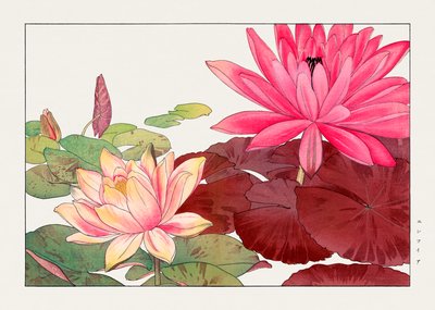 Nymphaea lotus aus "Seiyou Sokazufu" von Tanigami Konan