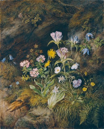 Alpine Flora von Theodor Josef Petter