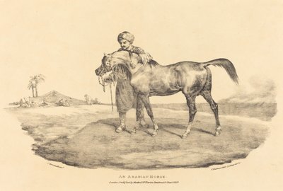 Ein arabisches Pferd von Theodore Gericault