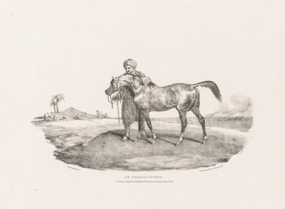 Ein arabisches Pferd von Theodore Gericault