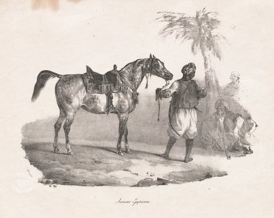 Ägyptische Stute, 1822 von Theodore Gericault