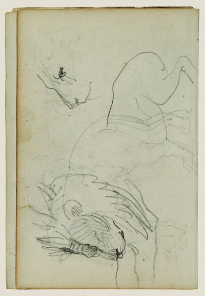 Löwenstudien von Theodore Gericault