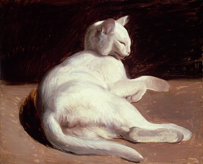 Die weiße Katze, ca. 1817-18 von Theodore Gericault