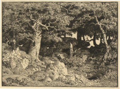 Felseichen von Theodore Rousseau
