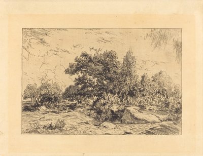 Blick auf das Plateau von Bellecroix von Theodore Rousseau