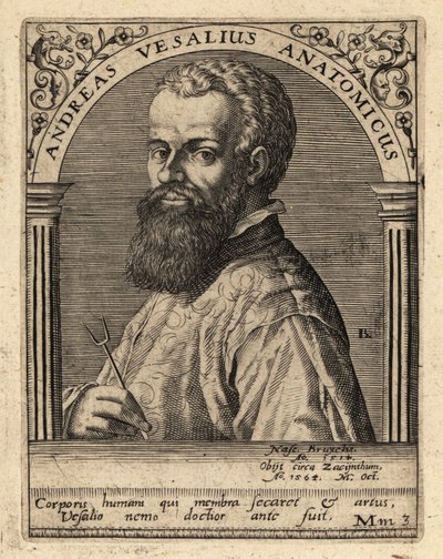 Andreas Vesalius, flämischer Arzt und Anatom von Theodore de Bry