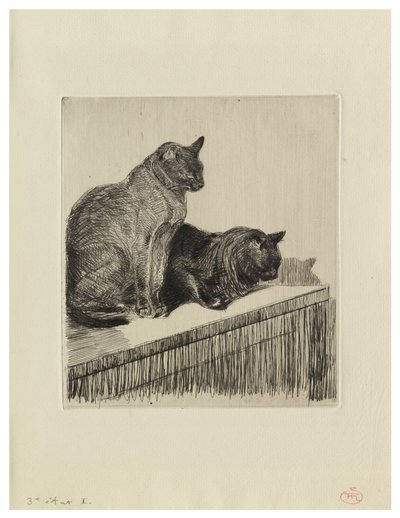 Zwei Katzen auf einem Möbelstück von Théophile Alexandre Steinlen