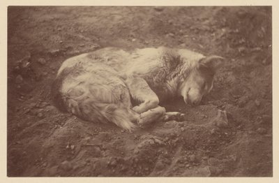 Schlafender Hund von Théodule Devéria