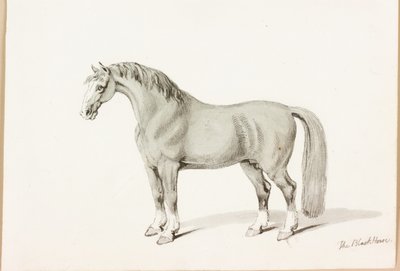 Das schwarze Pferd von Thomas Bewick