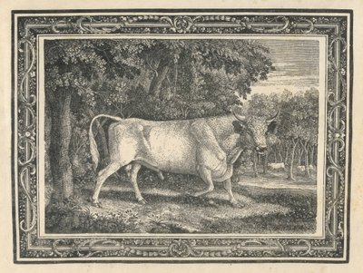 Der wilde Stier von Chillingham von Thomas Bewick
