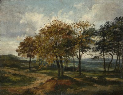 Waldlandschaft von Thomas Churchyard