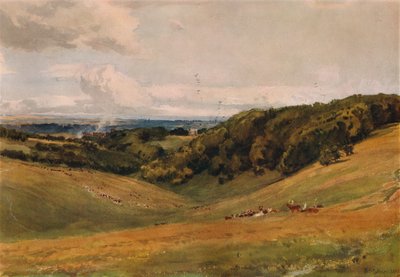 Arundel Park, mit Hirschen, 1880 von Thomas Collier