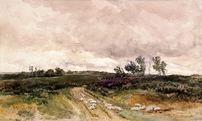 Moorlandschaft, 1878 von Thomas Collier