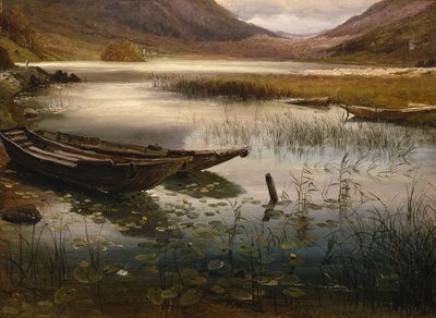 Boote und Seerosen von Thomas Fearnley