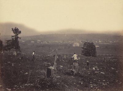 Waymart, Del. & Hudson Canal Co. von Thomas H. Johnson