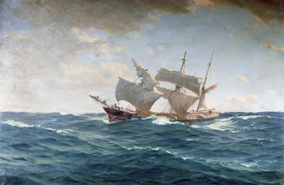 Die lahme Ente von Thomas J. Somerscales